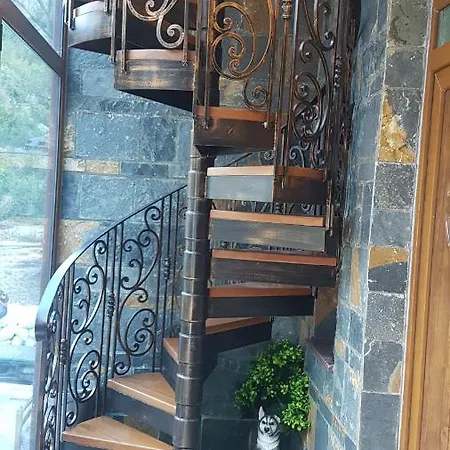 Rireyiana 4* Tamare